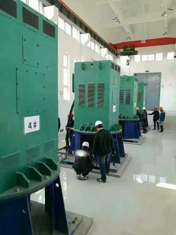 宜城某污水处理厂使用我厂的立式高压电机安装现场